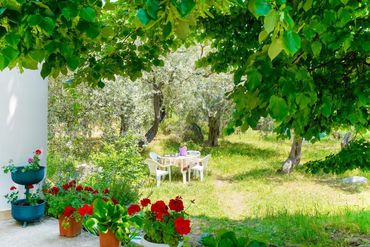Elia Villa Thassos Прінос Екстер'єр фото